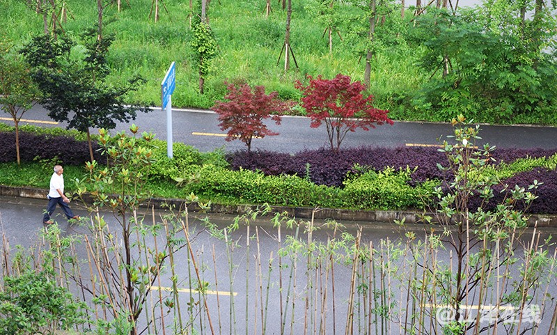 长寿湖 (4).jpg