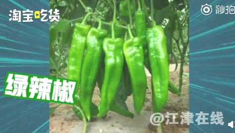 4459940C-D886-4e82-82F3-0E83F52FC9D9.png