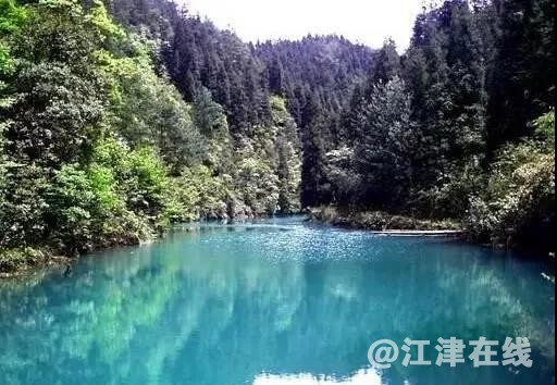 微信图片_20190629153453.jpg