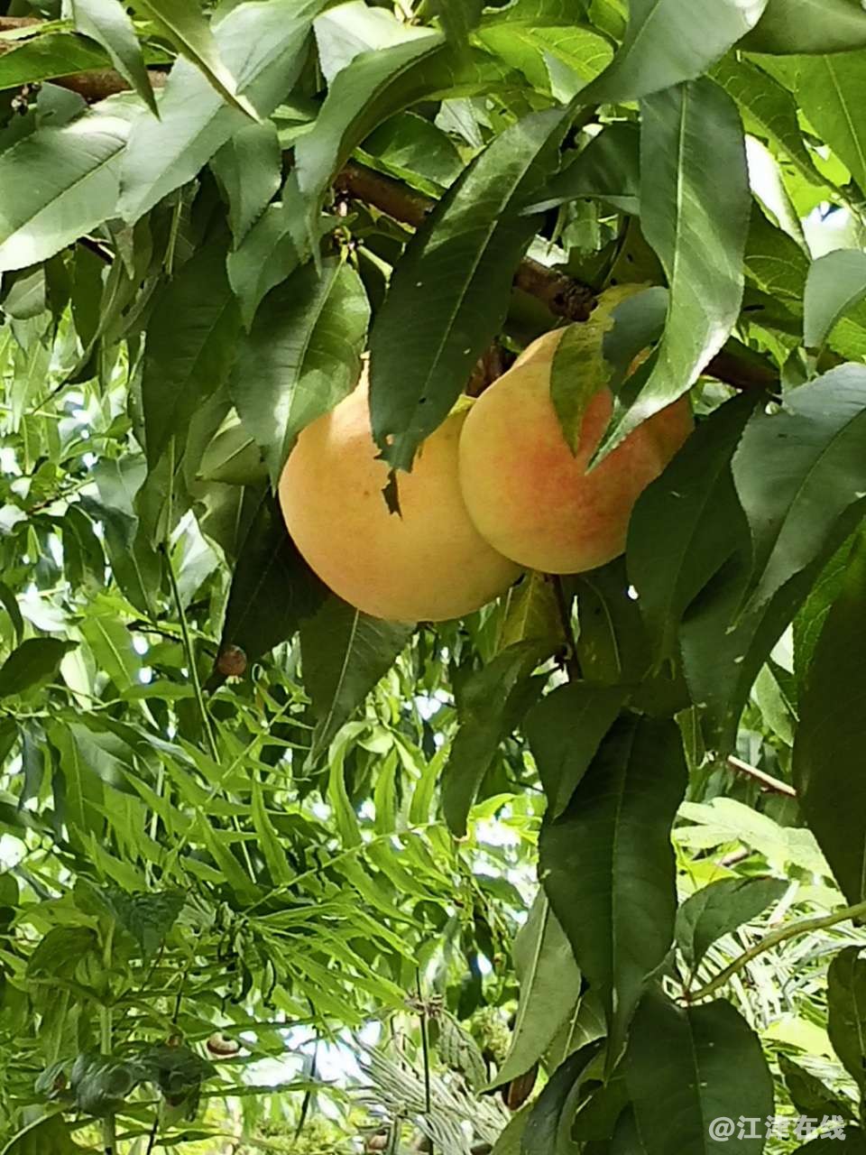20190702_45440_1562045734036.jpg