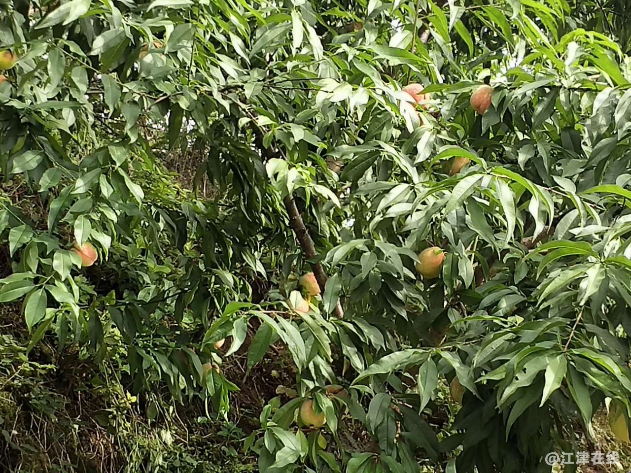20190702_45440_1562045734306.jpg