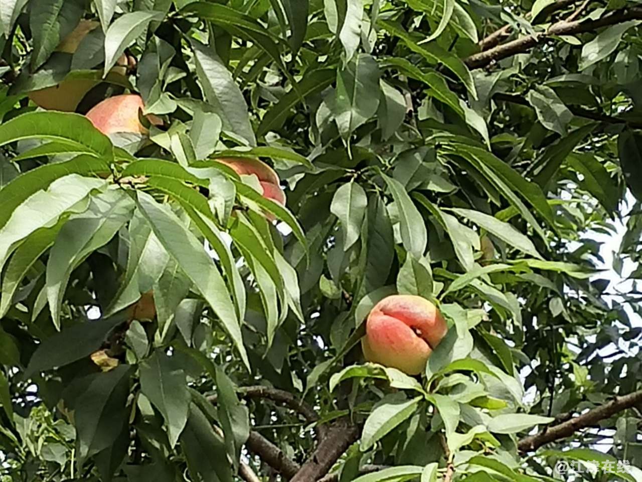 20190702_45440_1562045735016.jpg