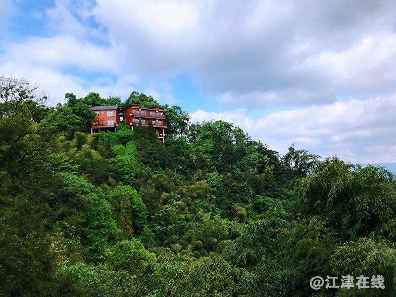 骆崃山森林木屋酒店