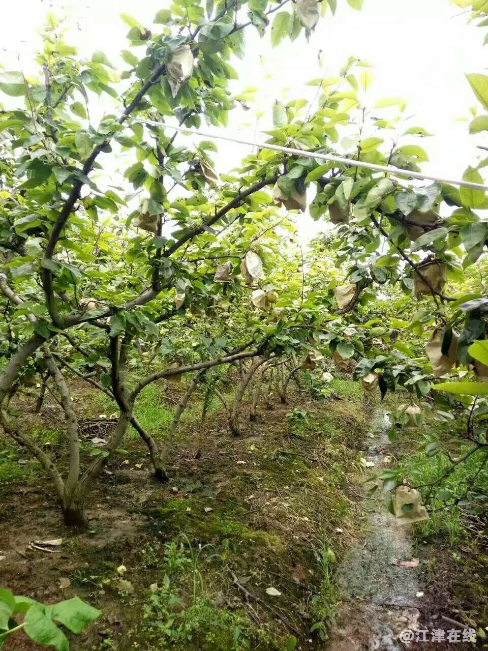 20190705_246127_1562288018844.jpg