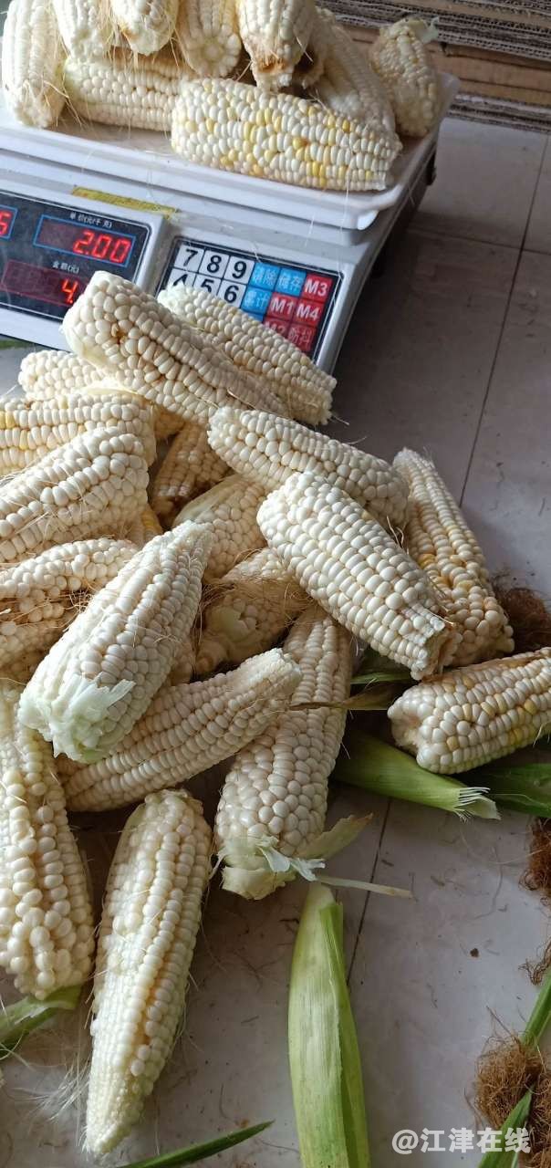20190709_45440_1562664775922.jpg
