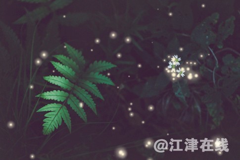 menu.saveimg.savepath20190710154457.jpg