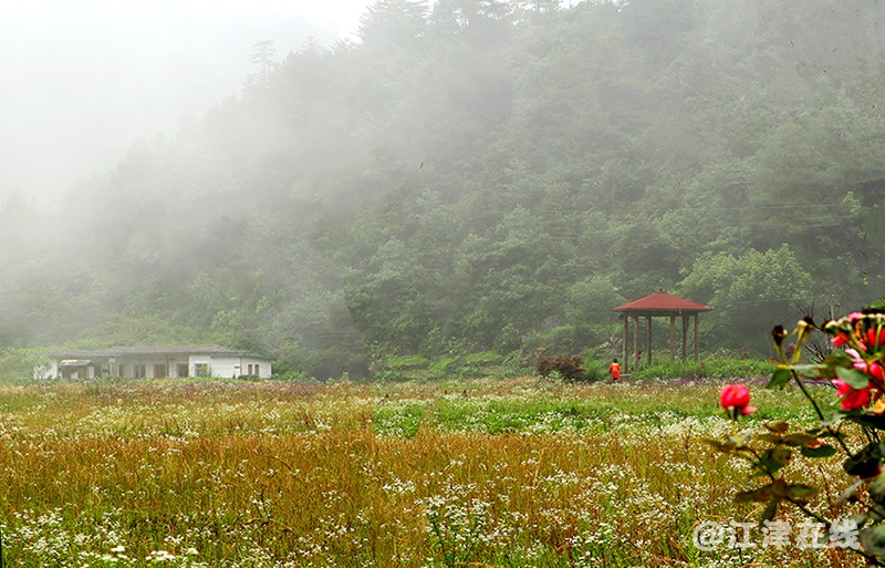 李公坝 (15).jpg