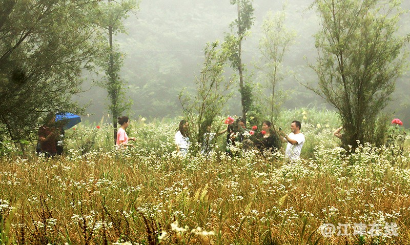 李公坝 (16).jpg