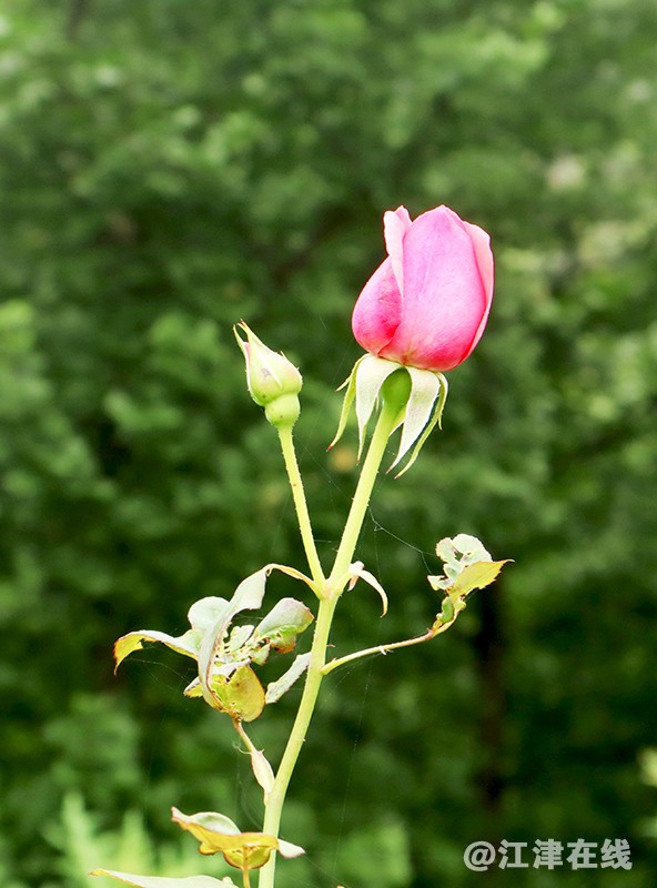 李公坝 (17).jpg