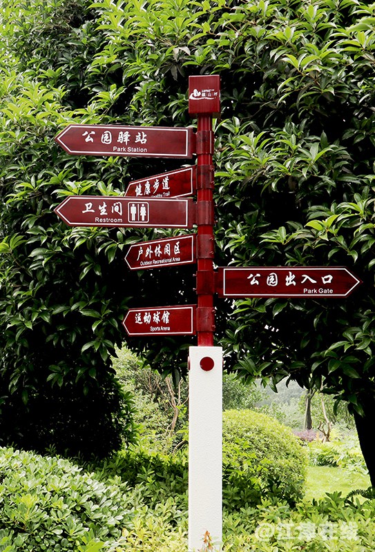 铁山坪 (1).jpg