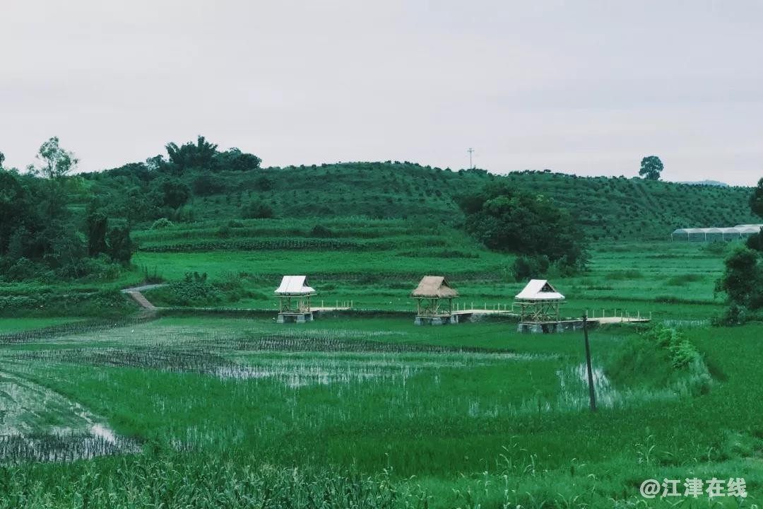 微信图片_20190725095451.jpg