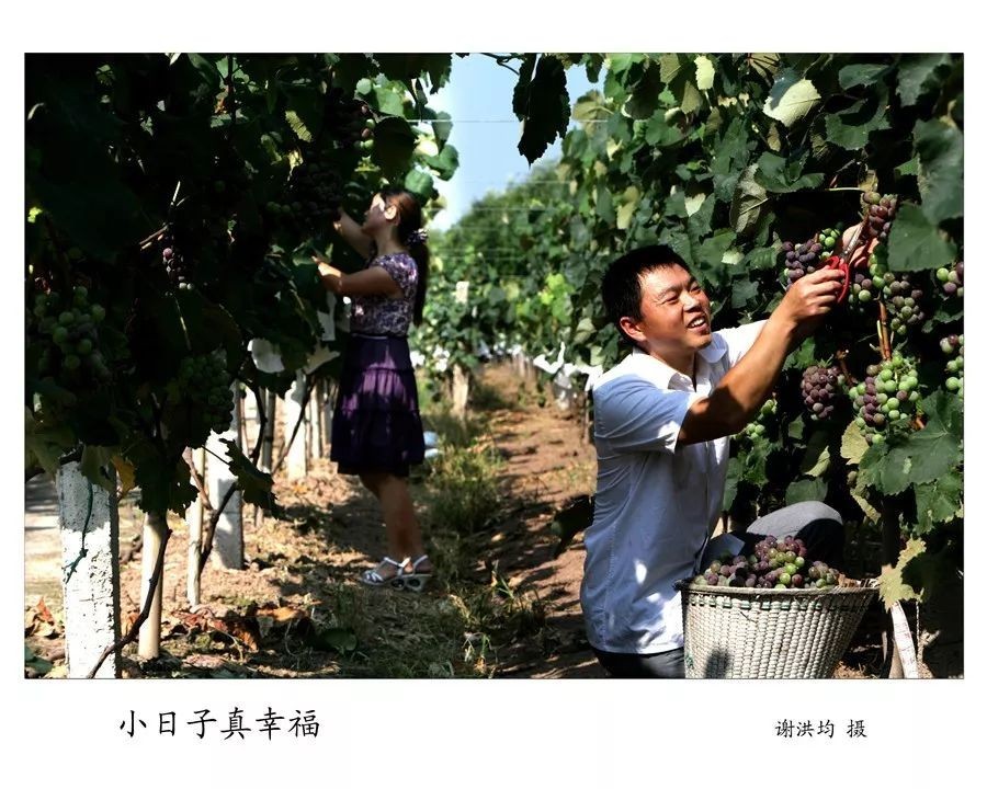 display_picture.php?url=https%3A%2F%2Fmmbiz.qpic.jpg