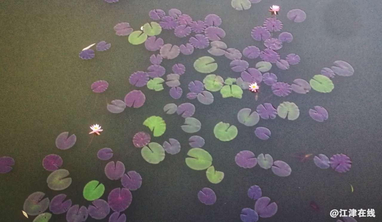 20190808_49039_1565261755488.jpg