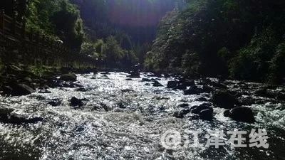 121530yt70g8eesu0h77hs.jpg