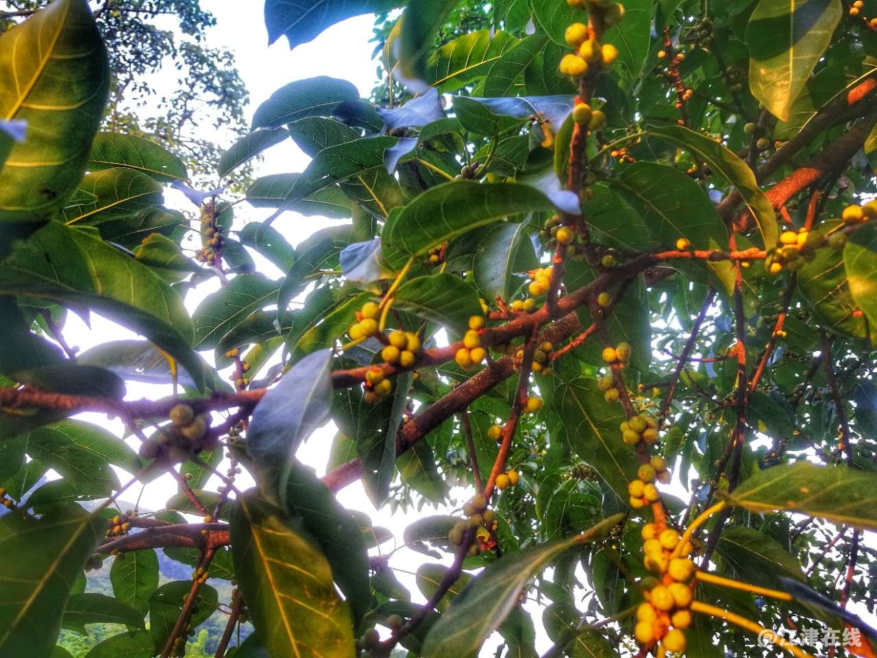 20190811_49039_1565505798336.jpg