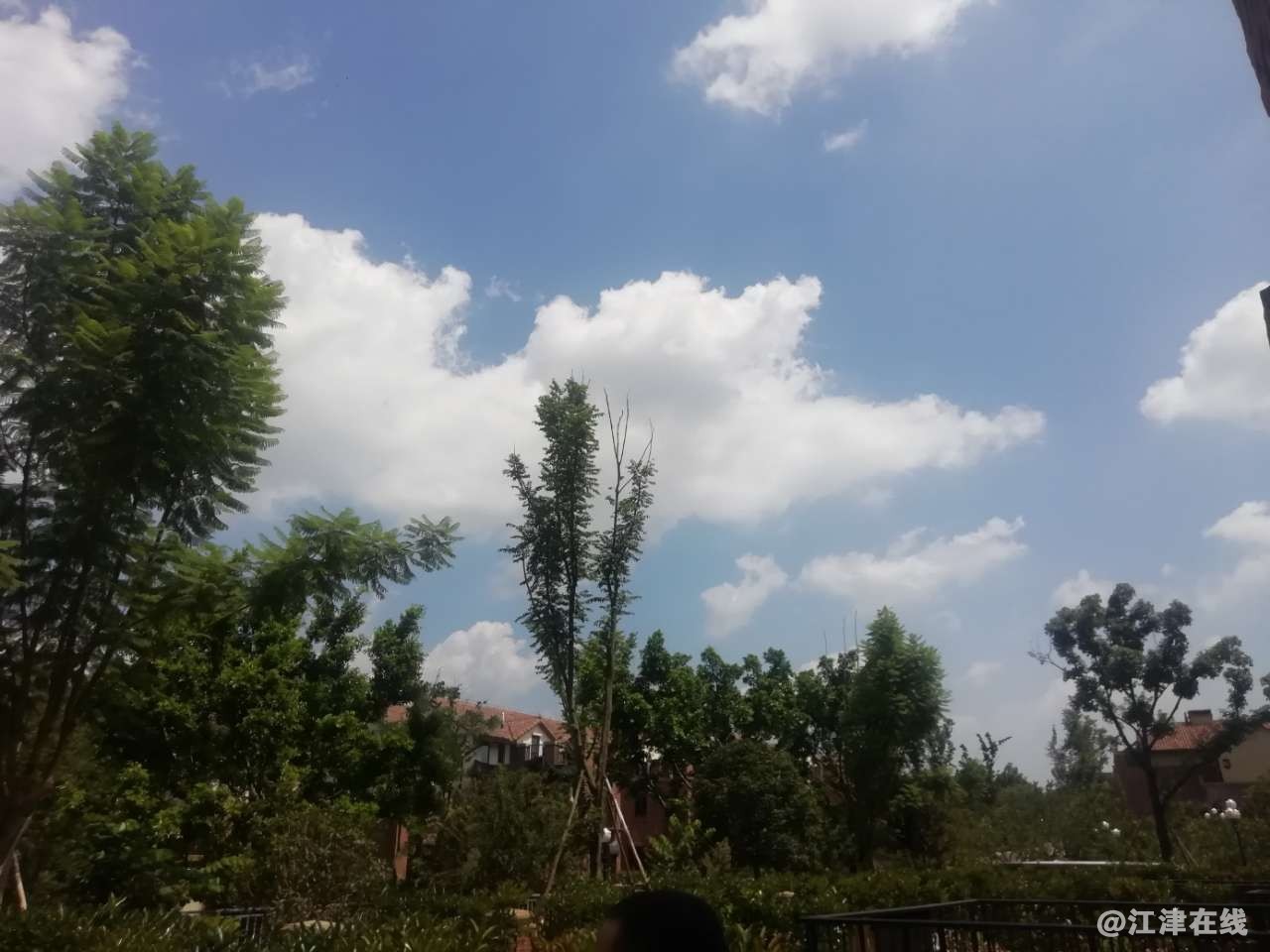 20190813_145635_1565700945423.jpg