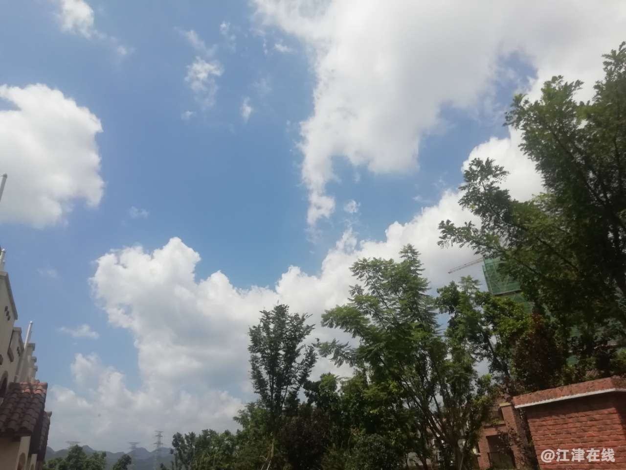 20190813_145635_1565700946039.jpg