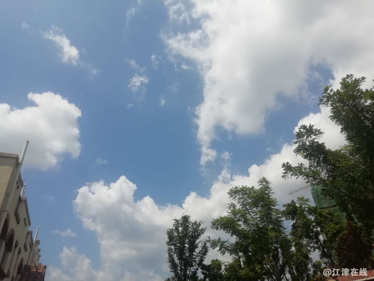 20190813_145635_1565700945733.jpg