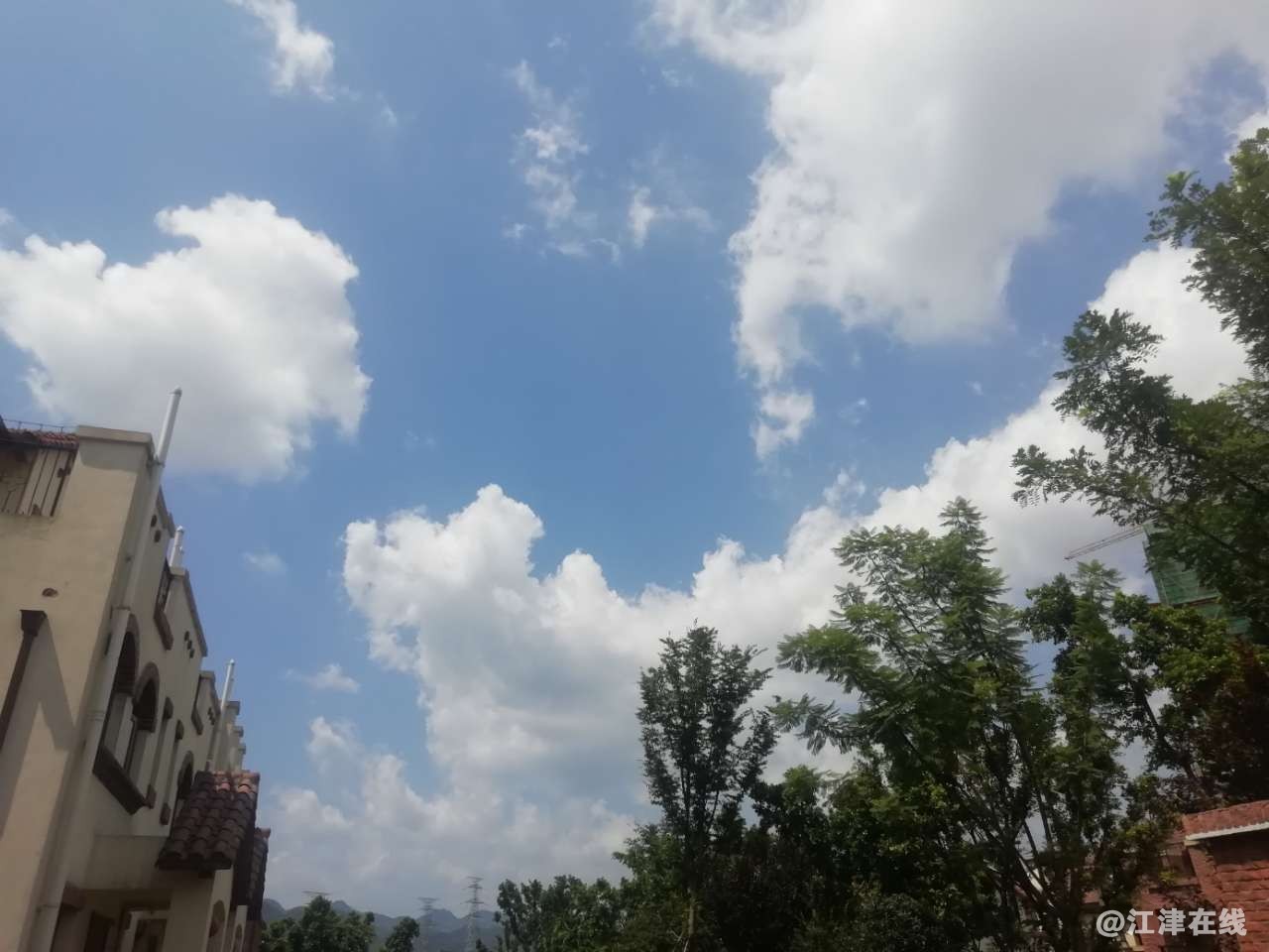20190813_145635_1565700946375.jpg
