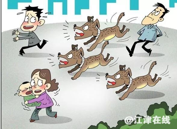 display_picture.php?url=https%3A%2F%2Fmmbiz.qpic.jpg