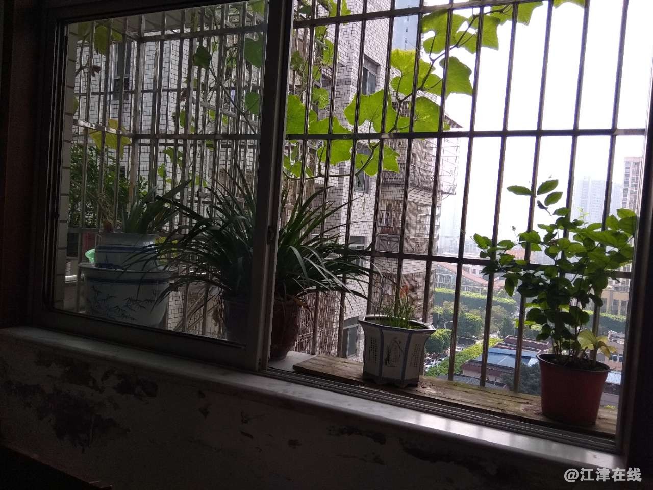 20190815_291458_1565828597453.jpg