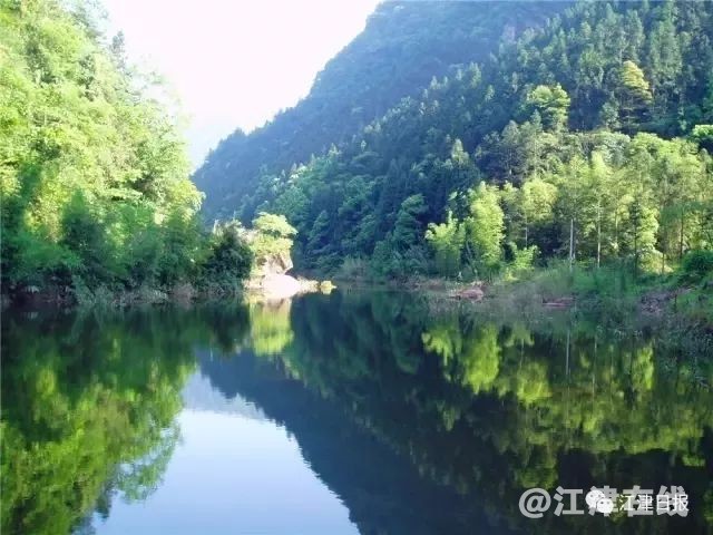 display_picture.php?url=https%3A%2F%2Fmmbiz.qpic.jpg