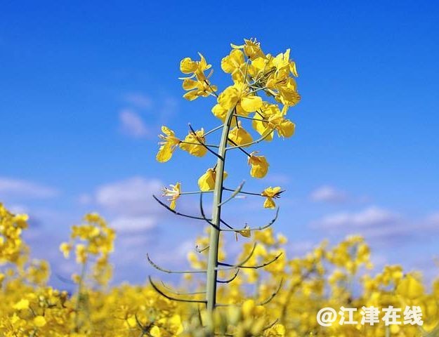 display_picture.php?url=https%3A%2F%2Fmmbiz.qpic.jpg