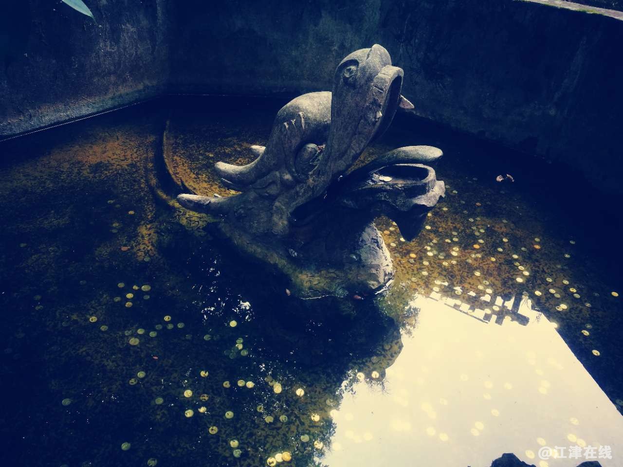 20190823_49039_1566554337064.jpg