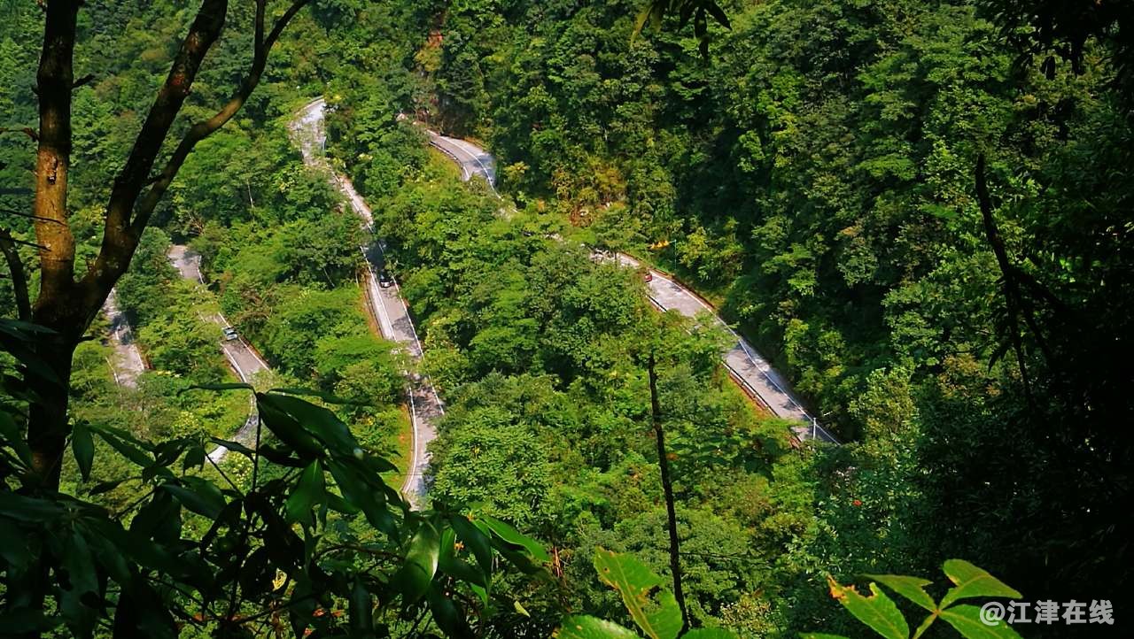 20190824_49039_1566645925750.jpg
