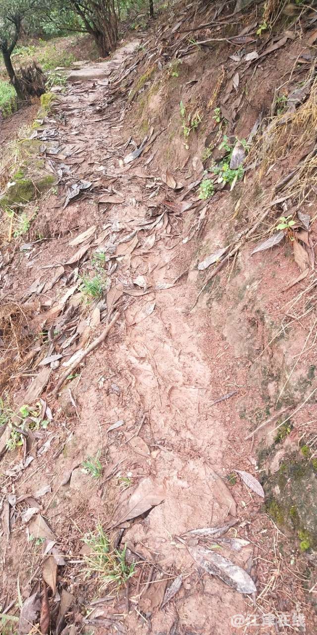 20190909_313332_1568000012828.jpg