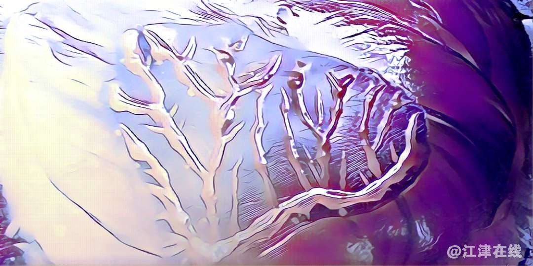 20190910_377287_1568090386559.jpg