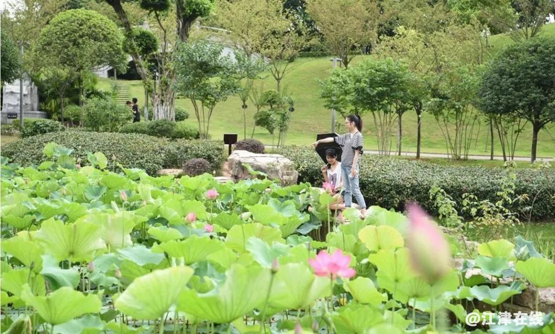 display_picture.php?url=https%3A%2F%2Fmmbiz.qpic.jpg