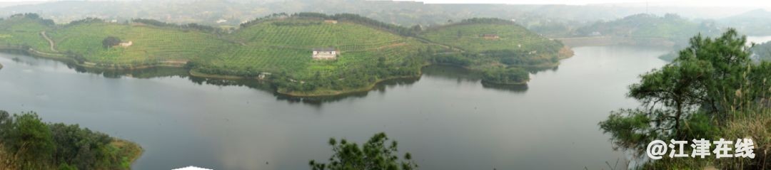 display_picture.php?url=https%3A%2F%2Fmmbiz.qpic.jpg