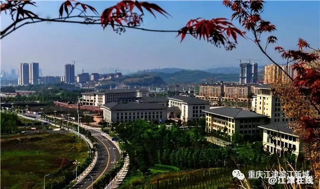 display_picture.php?url=https%3A%2F%2Fmmbiz.qpic.jpg