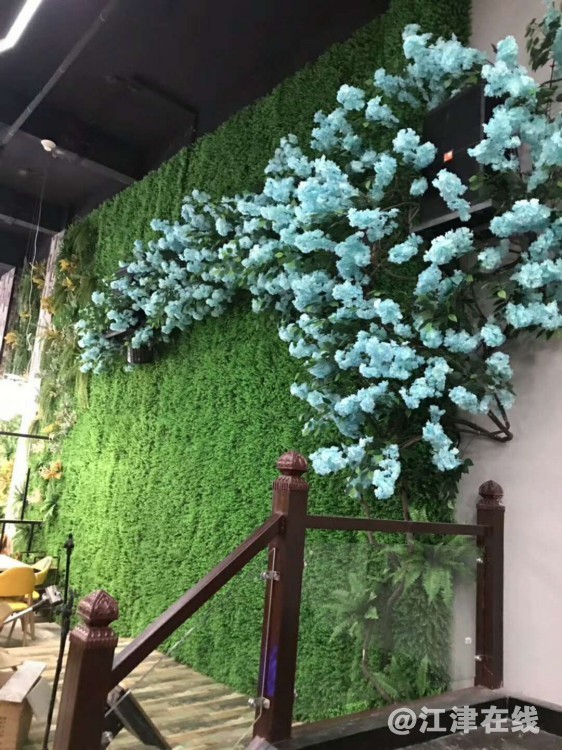 微信图片_201906041611188.jpg