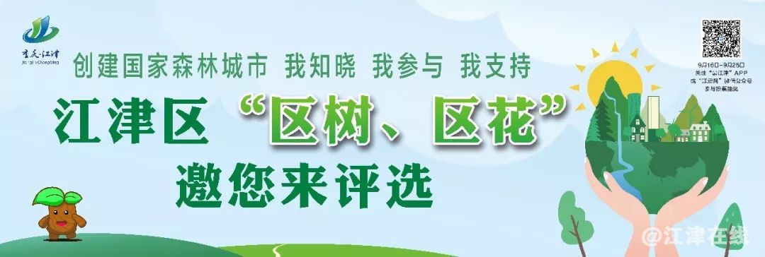 display_picture.php?url=https%3A%2F%2Fmmbiz.qpic.jpg