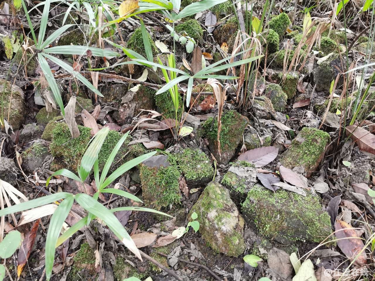 20191008_5_1570541044848.jpg