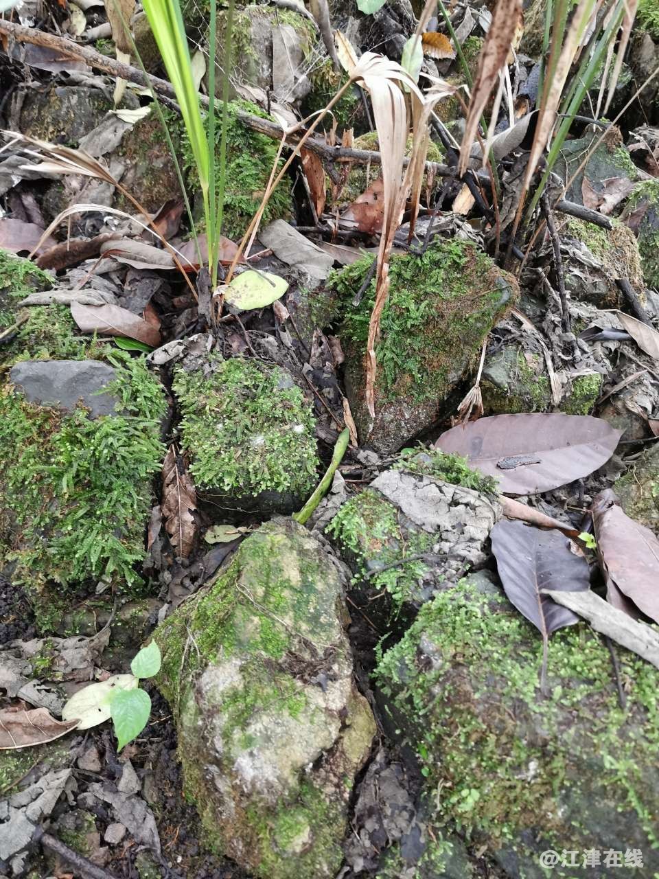 20191008_5_1570541045076.jpg