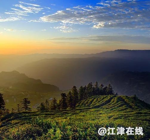 display_picture.php?url=https%3A%2F%2Fmmbiz.qpic.jpg