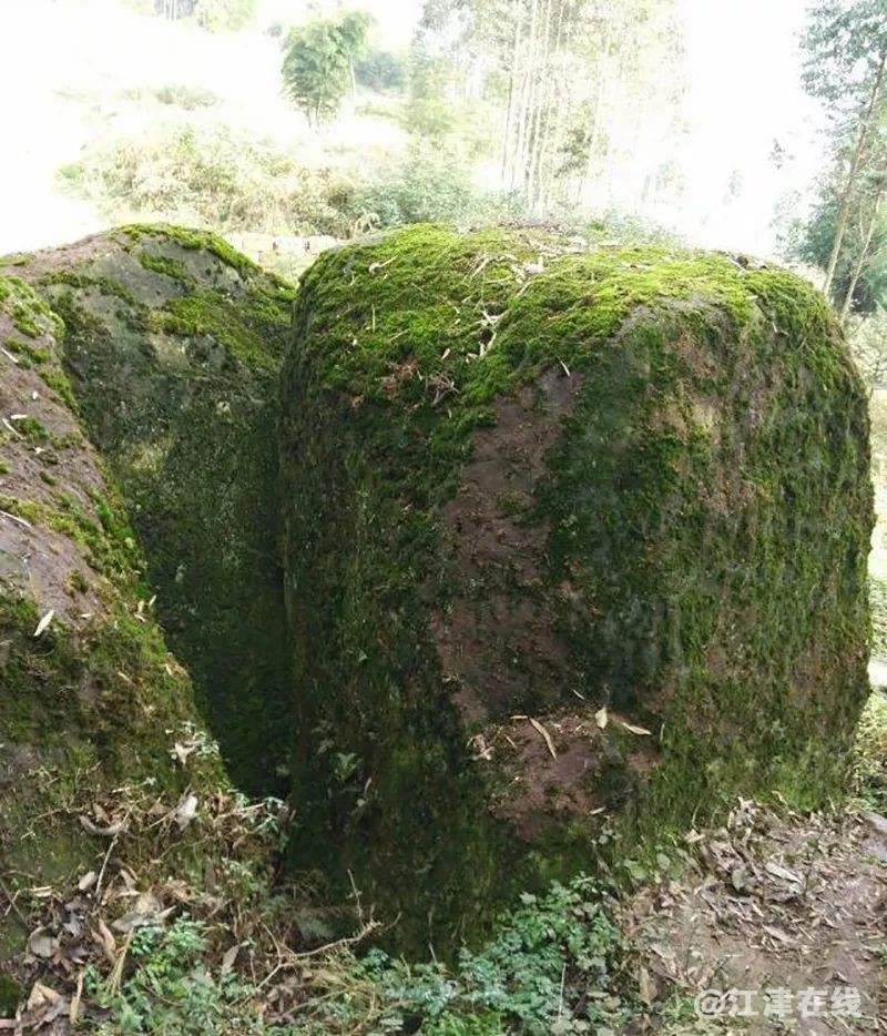 display_picture.php?url=https%3A%2F%2Fmmbiz.qpic.jpg