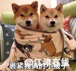 display_picture.php?url=https%3A%2F%2Fmmbiz.qpic.jpg