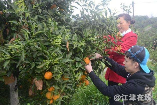 display_picture.php?url=https%3A%2F%2Fmmbiz.qpic.jpg