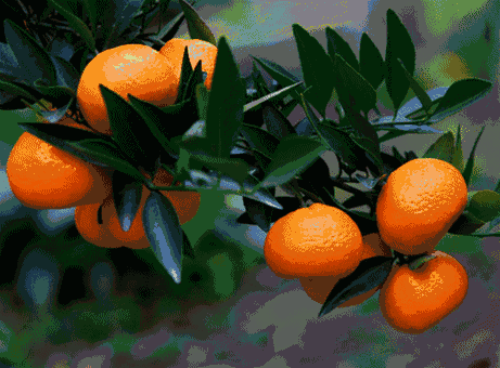 display_picture.php?url=https%3A%2F%2Fmmbiz.qpic.jpg