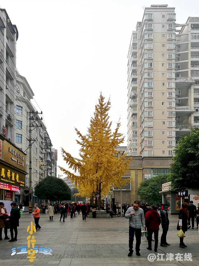 IMG_20191210_102027副本帖.jpg