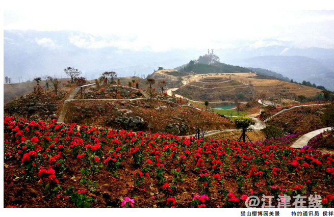 微信图片_20191216151646.png