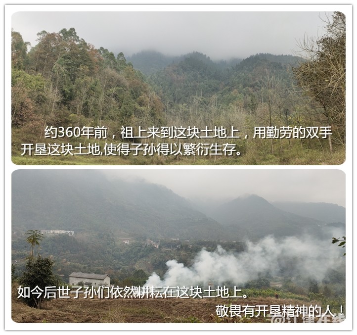 3开垦.jpg