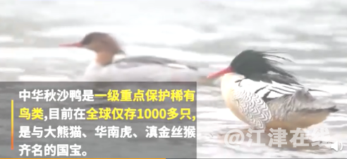 C6A5DAC7-62F4-4913-88CD-8798A883F876.png