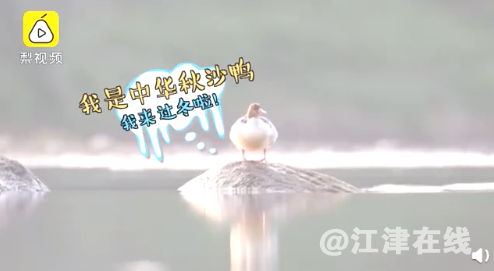 F74C08DD-D994-4db5-AEEE-905CE7706418.png