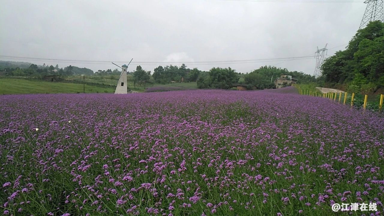 5ac6cf0daf60669ffbe548e9252cbdb2.jpg