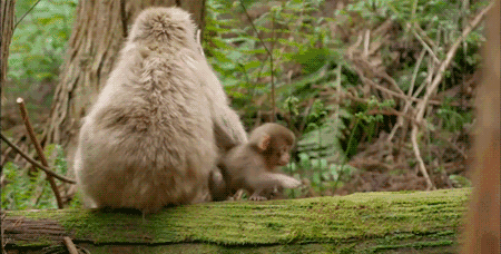 e025affc8bc38ce150697ae918123905.gif